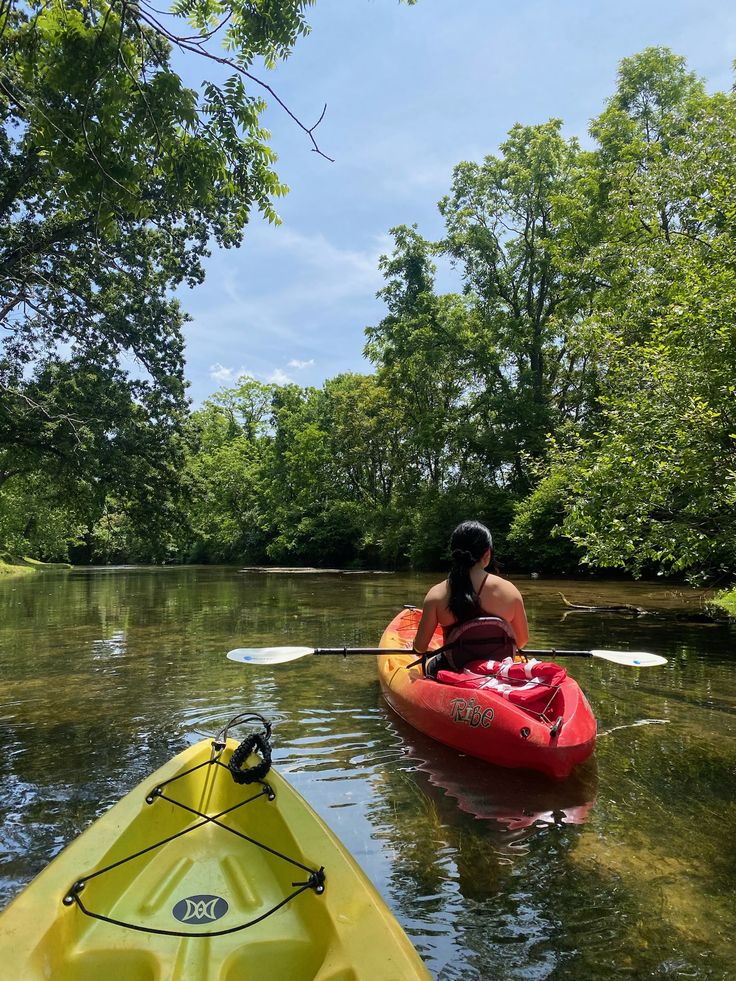 Colorful abstract plate pattern representing balanced everyday meals