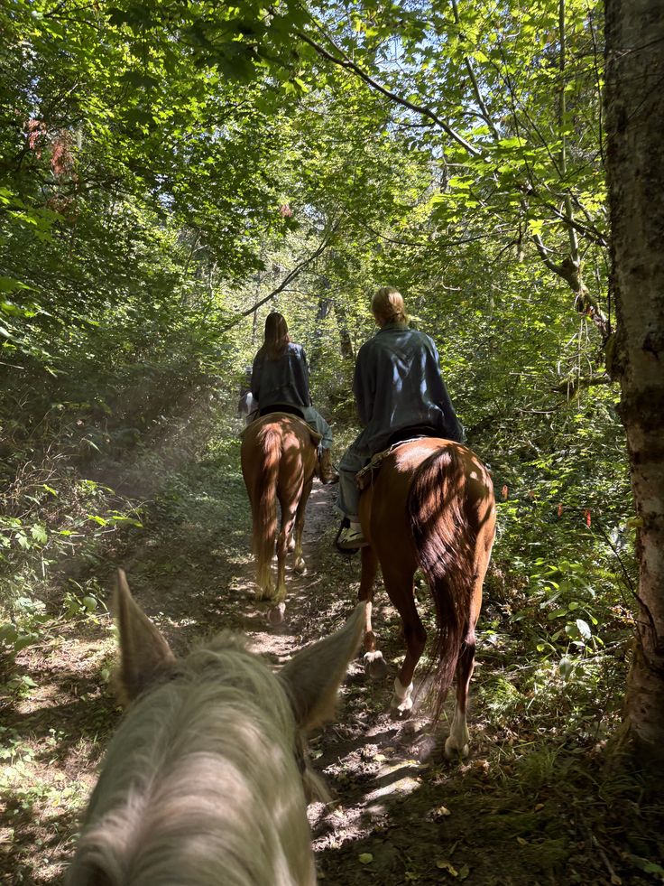 Abstract movement inspired background with flowing paths and organic colors